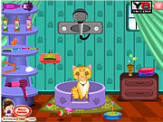 Giochi di Gatti da Lavare